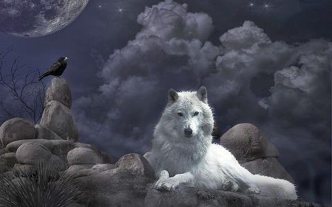 185977_327645693993413_131313673_n