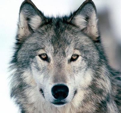 394973_10151250559618260_1452602695_n