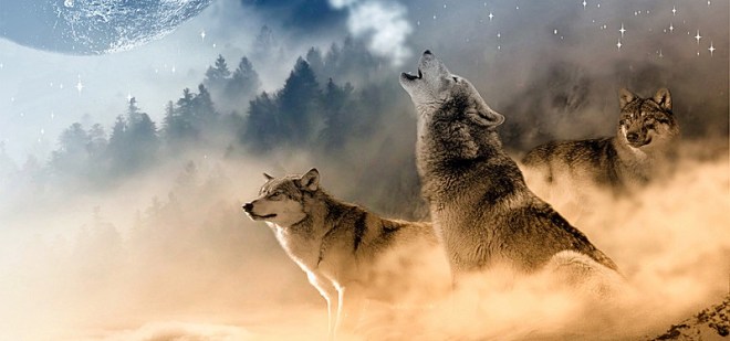 Image 2018-12-21 at 14.51