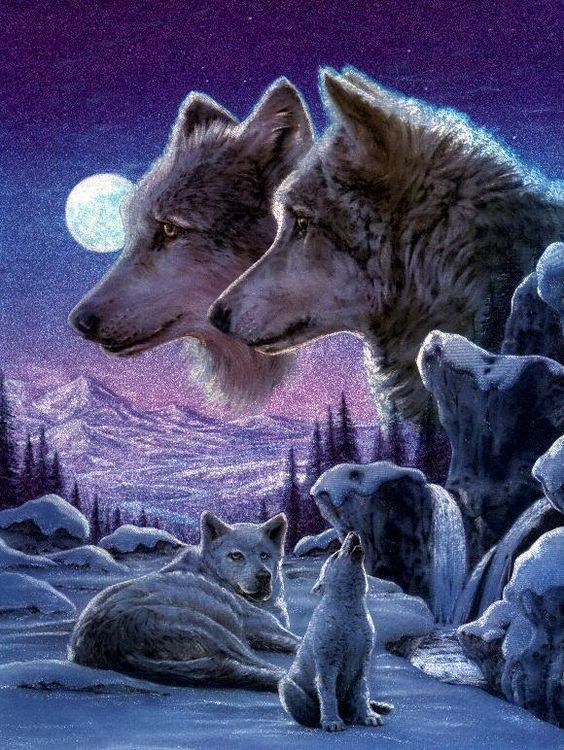 4e62fb3c39cb1341f7d41864f69395ce