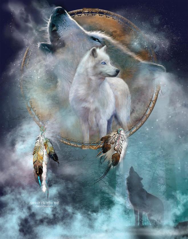 dream-catcher-spirit-of-the-white-wolf-carol-cavalaris